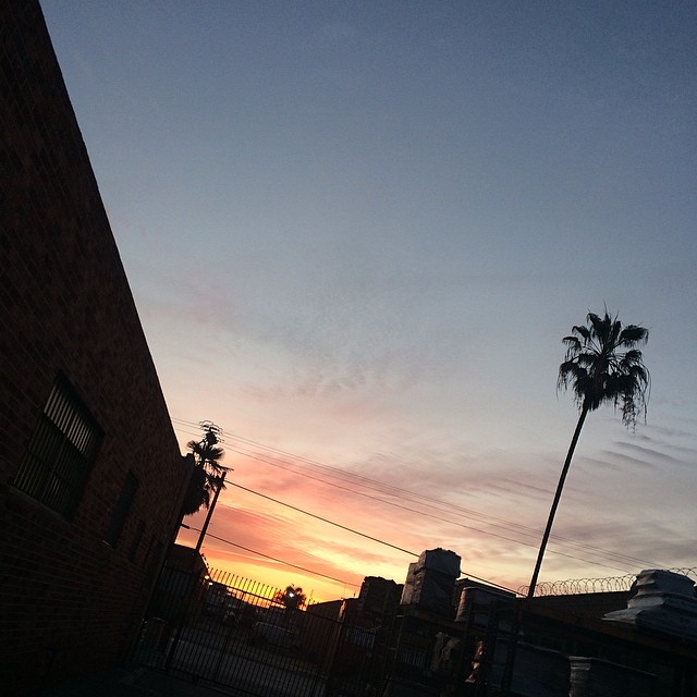 1922493_10203583949425599_586675074_n